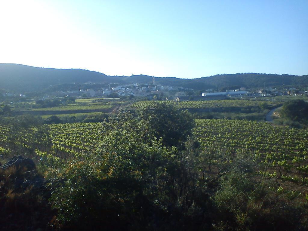 Cal Ganso Encantat Albinyana Exterior photo